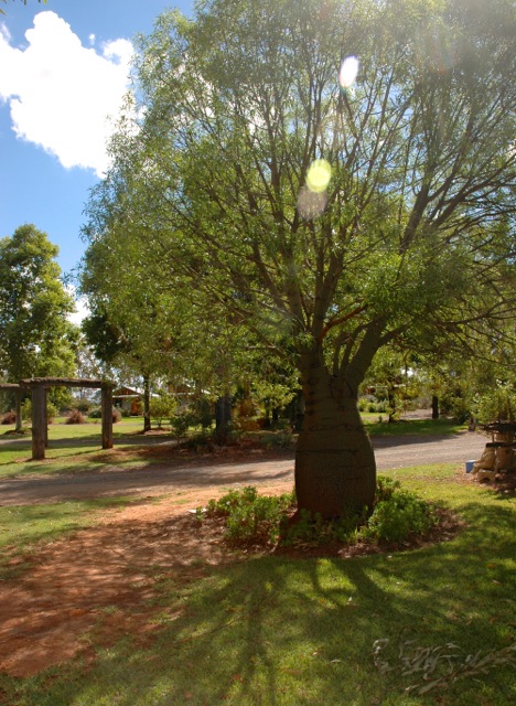 kidmans-camp-2014-p4